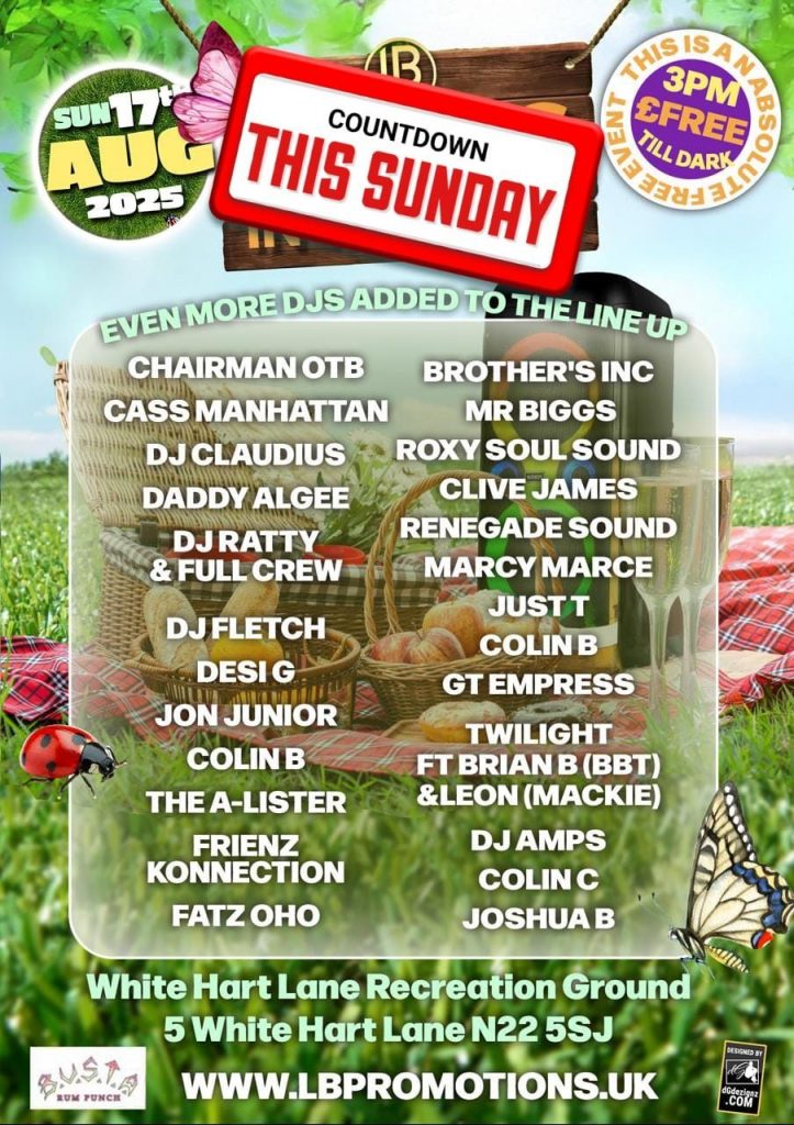 party in the park 2025 djs